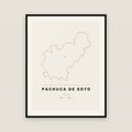 Pachuca de Soto, Hidalgo map print — exact INEGI boundary