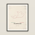 Tejupilco, México map print — exact INEGI boundary