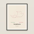 Tejupilco, México map print — exact INEGI boundary