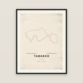 Tabasco map print — exact INEGI boundary