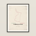 Tamaulipas map print — exact INEGI boundary