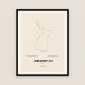 Tamaulipas map print — exact INEGI boundary